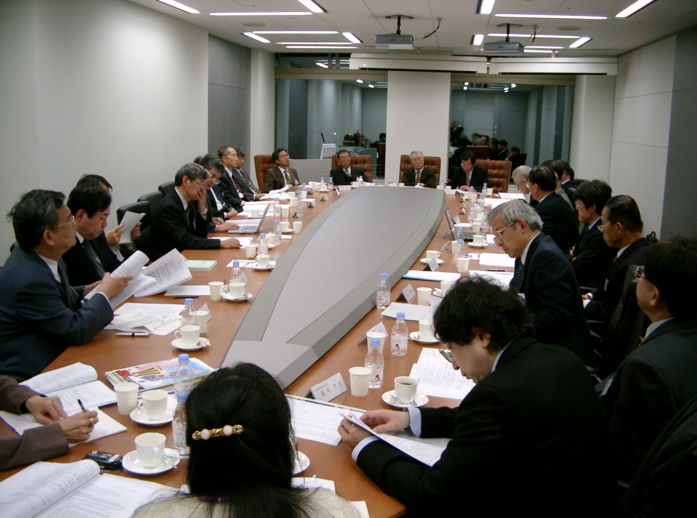 IEEE Japan Council ̖͗l